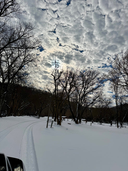 Winter Wonderland in Mountain View!